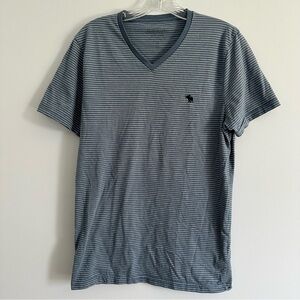 Abercrombie & Fitch Men’s Y2K blue and gray striped short sleeve Vneck tshirt